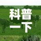 科普一下“微信牛牛群房卡哪里买”房卡链接获取
