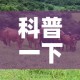 科普一下“微信牛牛群斗牛群”详细房卡教程