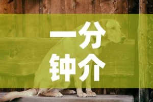 一分钟介绍使用“斗牛房卡链接哪里买”详细房卡使用教程