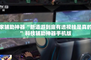 玩家辅助神器“新道游到底有透视挂是真的吗”科技辅助神器手机版