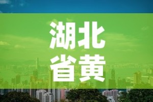 湖北省黄冈市疫情新增 → 湖北黄冈疫情最新通知
