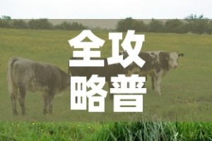 全攻略普及“开牛牛群怎么买房卡”详细房卡教程