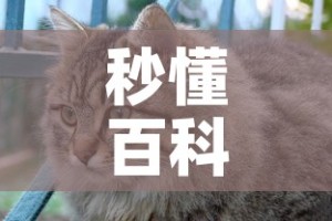 秒懂百科“斗牛房卡怎么购买”购买房卡介绍