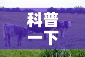 科普一下“微信牛牛群房卡怎么弄”链接房卡在哪里获取