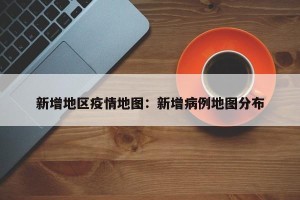 新增地区疫情地图：新增病例地图分布