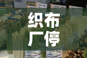 织布厂停车位租金价格 → 制衣厂车位包吃住