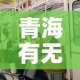 一分钟介绍使用“微信牛牛群房卡”详细房卡教程