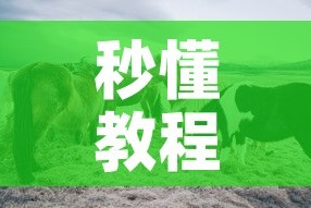 秒懂教程“微信牛牛群斗牛群”房卡怎么购买