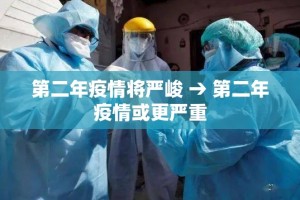 第二年疫情将严峻 → 第二年疫情或更严重