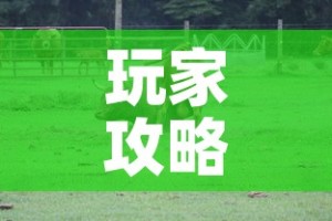 玩家攻略“微信牛牛群斗牛群”房卡获取方式
