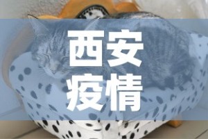 秒懂百科“微信炸 金花链接怎么搞”房卡怎么购买