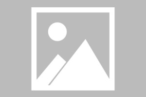 荣信虹桥世嘉最新疫情—（上海荣信房地产开发有限公司）
