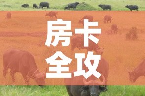 房卡全攻略“微信牛牛群斗牛群”详细房卡教程