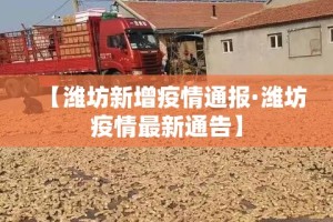 房卡全攻略“微信开金花群怎么买房卡”房卡链接获取