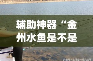 新干县新增疫情最新消息—（新干县新冠肺炎）