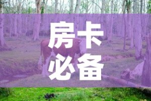 房卡必备教程“微信牛牛群斗牛群”房卡链接获取