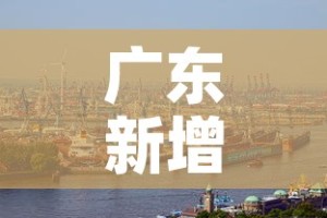 广东新增肺炎疫情›广东新增肺炎疫情情况
