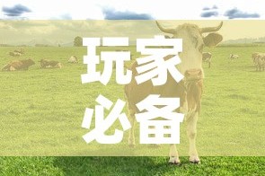 全攻略普及“微信群牛牛房间房卡充值”链接房卡在哪里获取