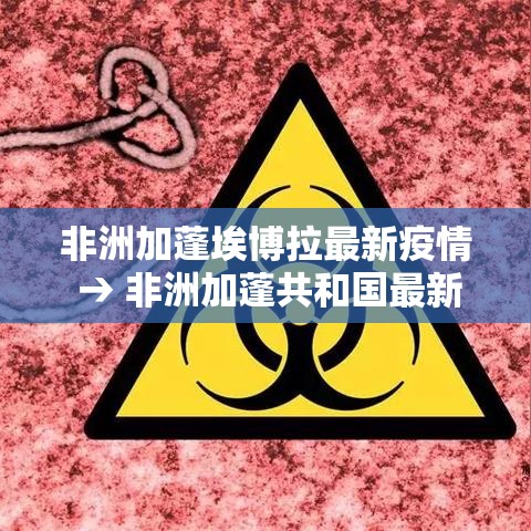非洲加蓬埃博拉最新疫情 → 非洲加蓬共和国最新疫情 非洲加蓬埃博拉最新疫情 → 非洲加蓬共和国最新疫情
