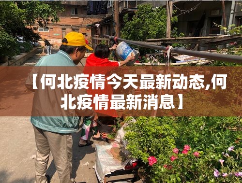 【何北疫情今天最新动态,何北疫情最新消息】 【何北疫情今天最新动态,何北疫情最新消息】