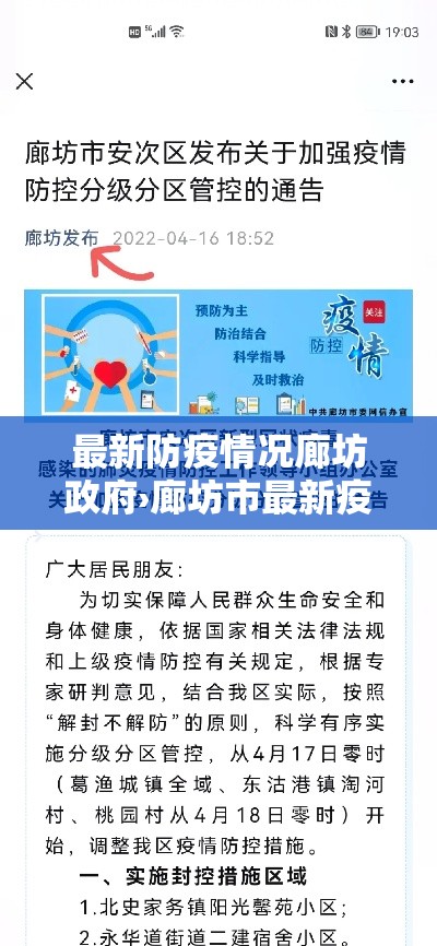 最新防疫情况廊坊政府›廊坊市最新疫情报告
