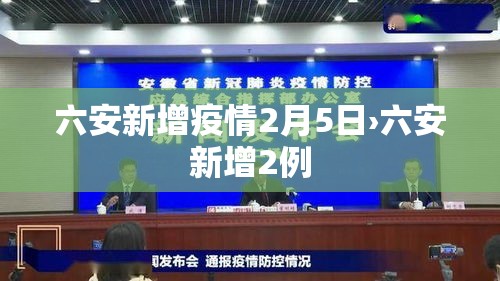六安新增疫情2月5日›六安新增2例 六安新增疫情2月5日›六安新增2例