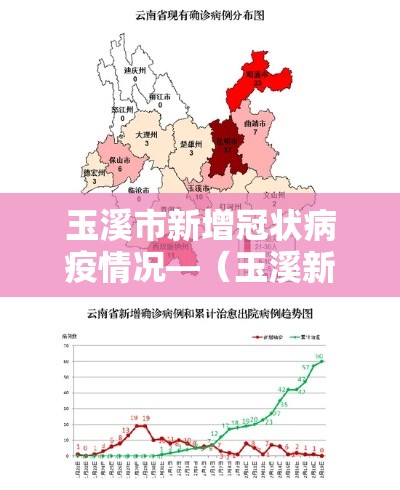 玉溪市新增冠状病疫情况—（玉溪新增4例肺炎）
