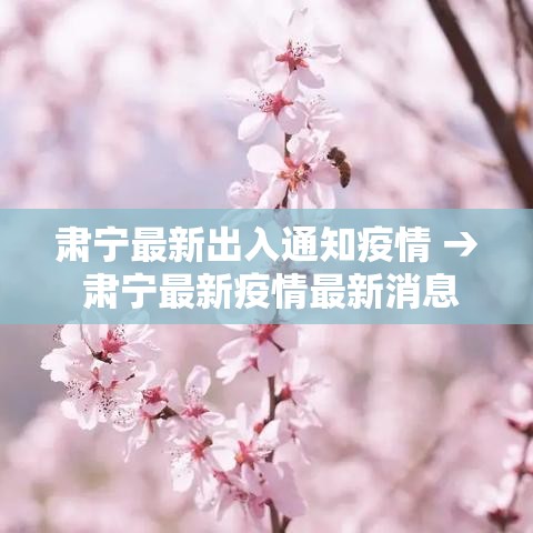 长沙疫情新增一百—(长沙疫情最新消息今天新增) 长沙疫情新增一百—(长沙疫情最新消息今天新增)