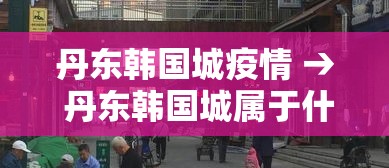 丹东韩国城疫情 → 丹东韩国城属于什么区