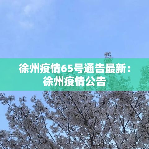 徐州疫情65号通告最新:徐州疫情公告 徐州疫情65号通告最新:徐州疫情公告