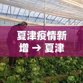 夏津疫情新增 → 夏津县疫情风险等级 夏津疫情新增 → 夏津县疫情风险等级