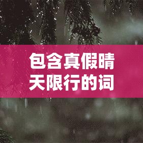 包含真假晴天限行的词条 包含真假晴天限行的词条