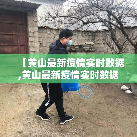【黄山最新疫情实时数据,黄山最新疫情实时数据图】