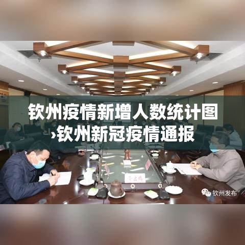 钦州疫情新增人数统计图›钦州新冠疫情通报