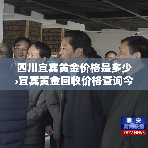 创限行罚款：限行上路罚款