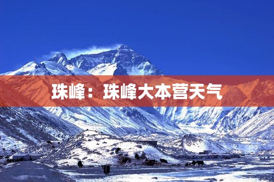 一分钟介绍使用“微信金花房间卡在哪买”购买房卡介绍