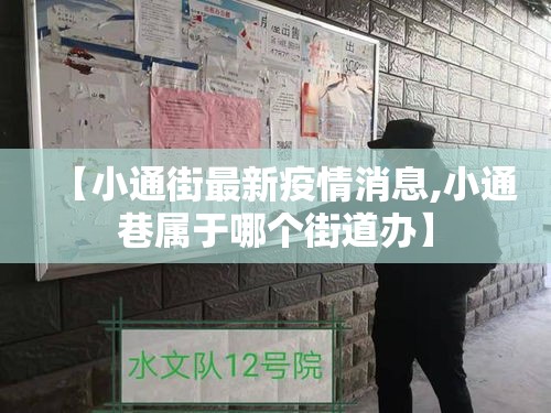 【小通街最新疫情消息,小通巷属于哪个街道办】 【小通街最新疫情消息,小通巷属于哪个街道办】