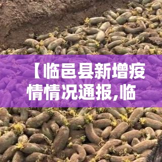 江苏疫情新增总数›江苏疫情最新2020今天新增