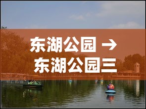 今日金价老凤祥最新金价—(今日老凤祥的金价) 今日金价老凤祥最新金价—(今日老凤祥的金价)