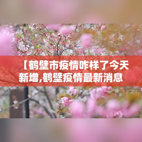 【31省新增确诊2例均为境外输入,31省新增确诊病例36例 均为境外输入】 【31省新增确诊2例均为境外输入,31省新增确诊病例36例 均为境外输入】