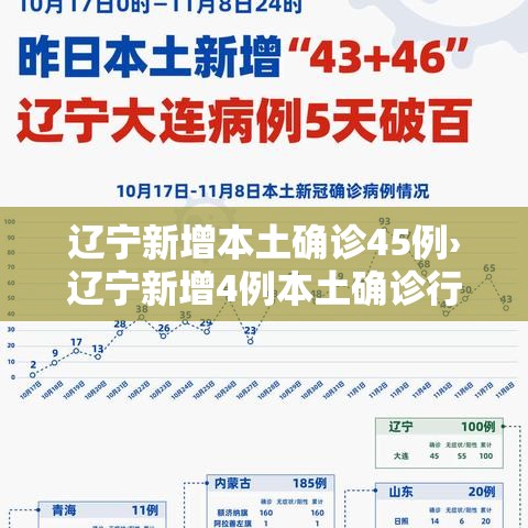 辽宁新增本土确诊45例›辽宁新增4例本土确诊行程