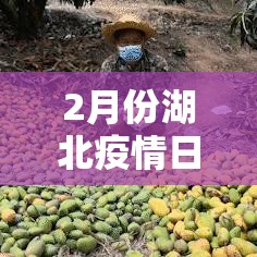 2月份湖北疫情日新增图—（湖北疫情2月份折线图）