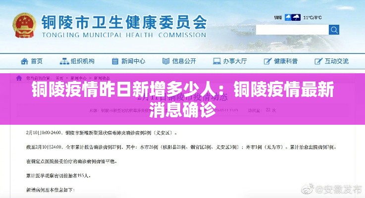 铜陵疫情昨日新增多少人：铜陵疫情最新消息确诊