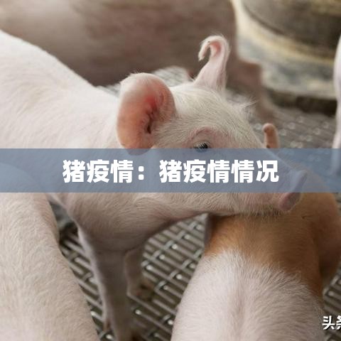 六枝疫情新增几例病例了›六枝特区2021春节疫情通知