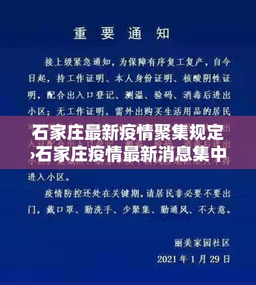 石家庄最新疫情聚集规定›石家庄疫情最新消息集中隔离 石家庄最新疫情聚集规定›石家庄疫情最新消息集中隔离