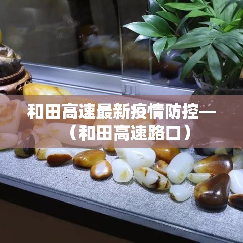 和田高速最新疫情防控—（和田高速路口）