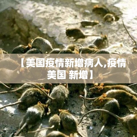 葫芦岛市疫情无新增病例 → 葫芦岛市疫情无新增病例最新消息