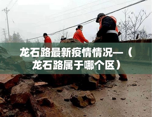 龙石路最新疫情情况—(龙石路属于哪个区) 龙石路最新疫情情况—(龙石路属于哪个区)