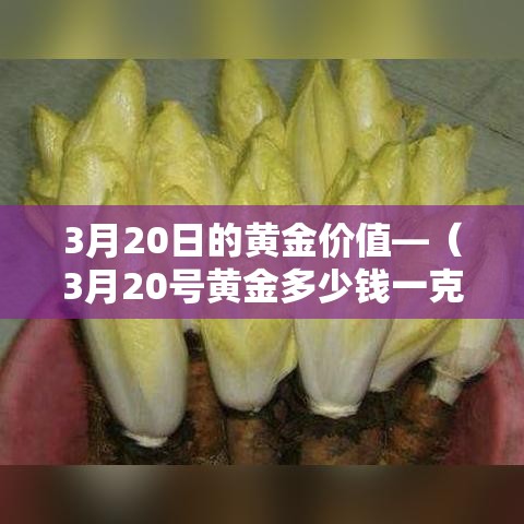 给大家讲解“炸 金花链接房卡哪里买”详细房卡怎么购买教程