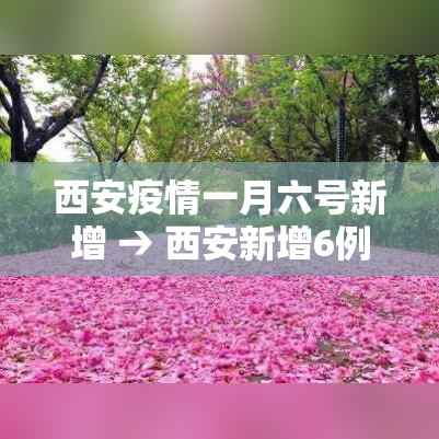 西安疫情一月六号新增 → 西安新增6例本土确诊 西安疫情一月六号新增 → 西安新增6例本土确诊